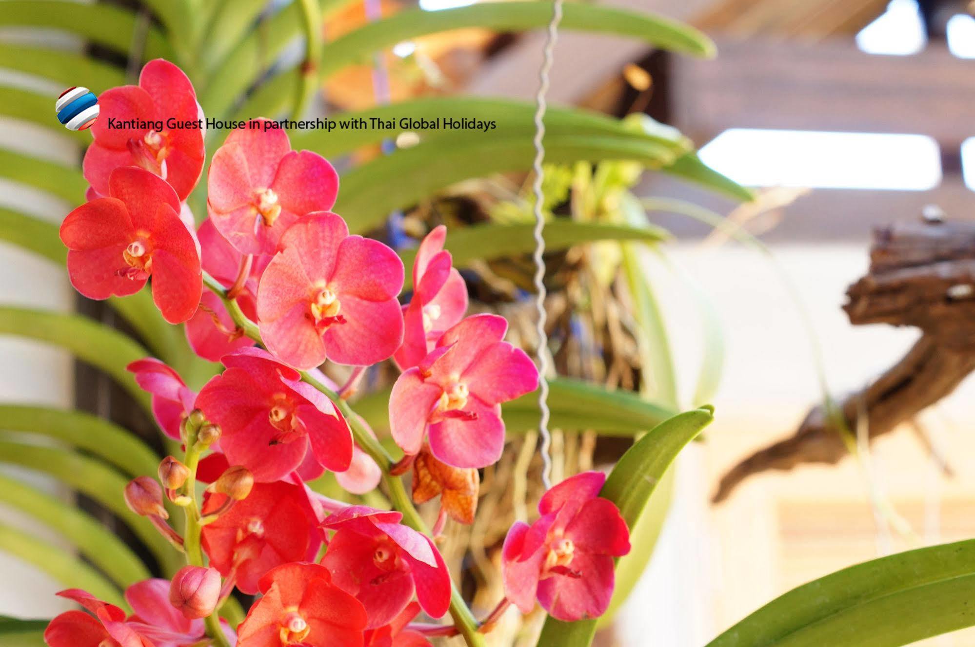 Kantaing Boutique Guest House Koh Lanta Luaran gambar